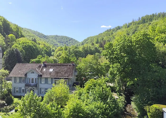 Fewo Elmi Komfortwohnung Mit Blick In Die Natur - 2 Schlafzimmer - 2 Baeder - Inklusive Parkplatz - Inklusive Aufzug Апартаменты Бад-Гарцбург
